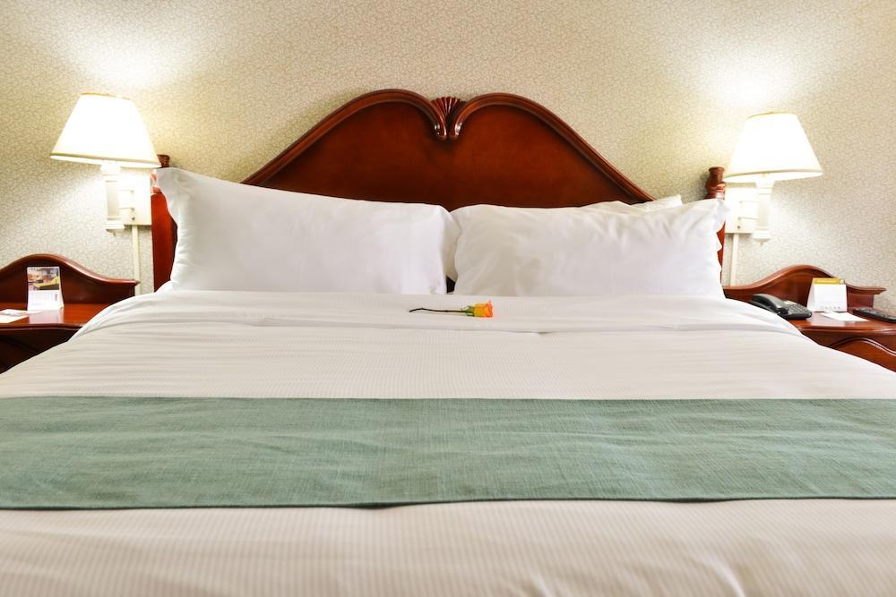 Hotel Plaza Del Libertador Tegucigalpa Zewnętrze zdjęcie